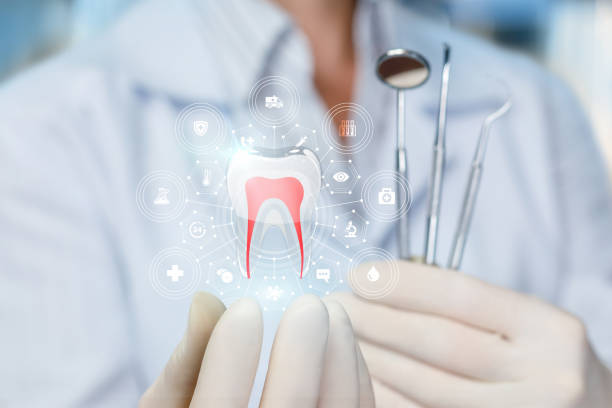 Best Emergency Dental Care  in Glenvar Heights, FL